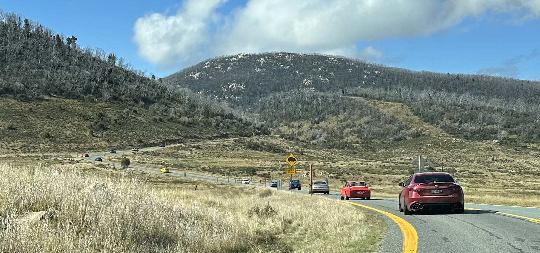Alfisti Tour through the Snowys